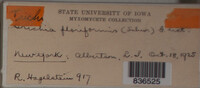 Image Associated With the Occurence